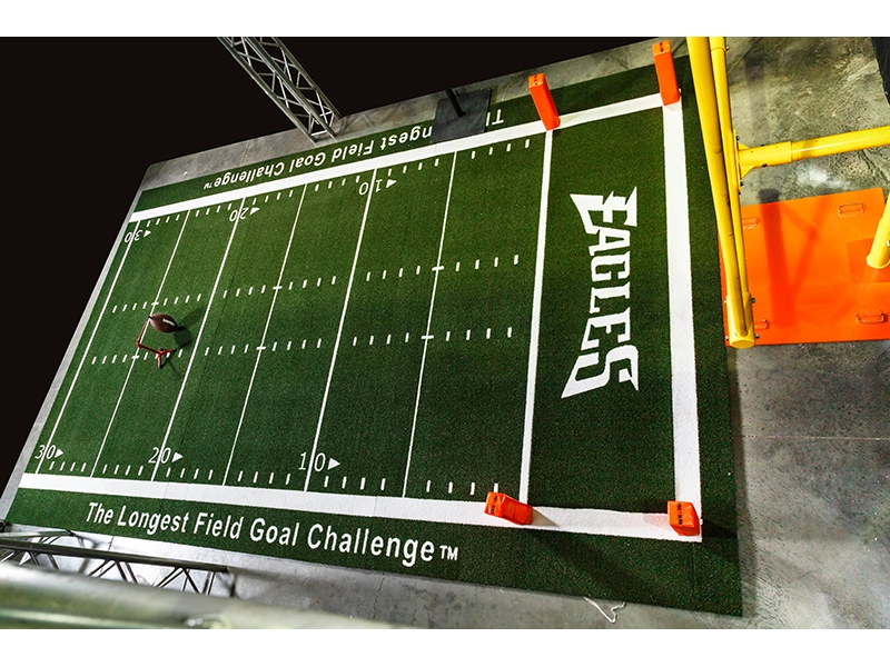 Branded Eagles Football Field